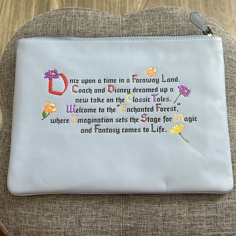Disney X Coach Large clutch